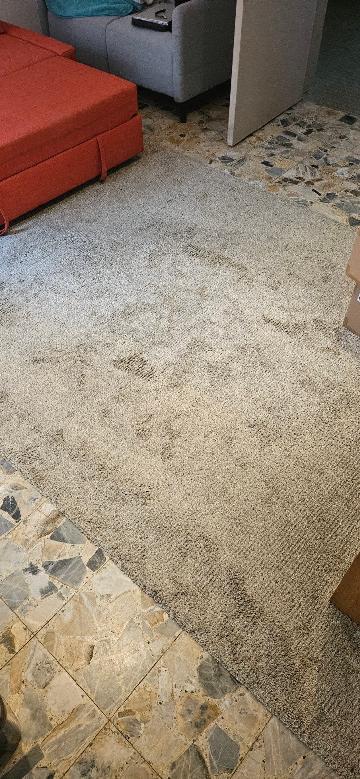 grijs tapijt, Maison & Meubles, Ameublement | Revêtements de sol, Enlèvement, Gris, Tapis
