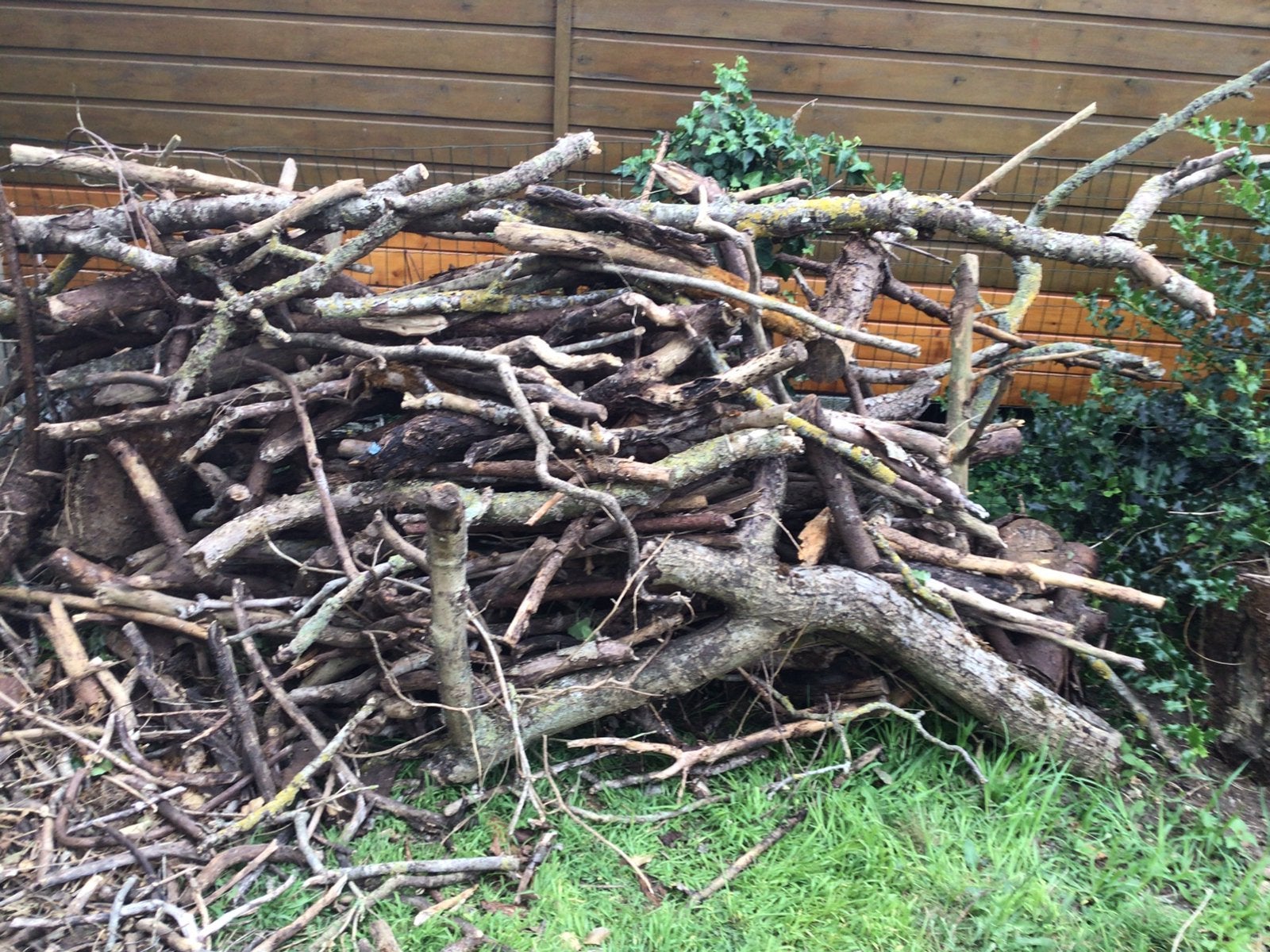 Gratis stookhout, Tuin en Terras, Ophalen