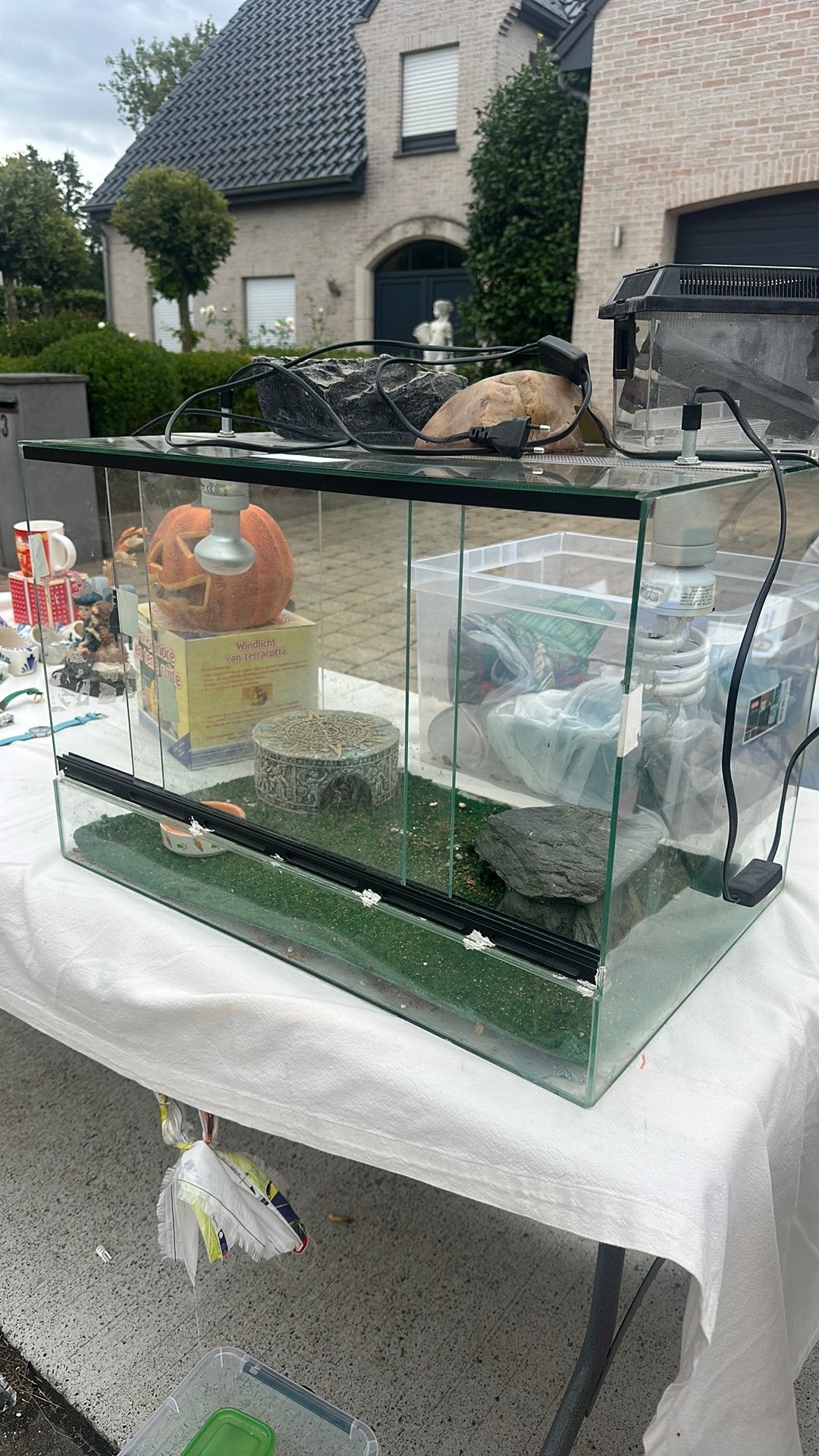 Terarium