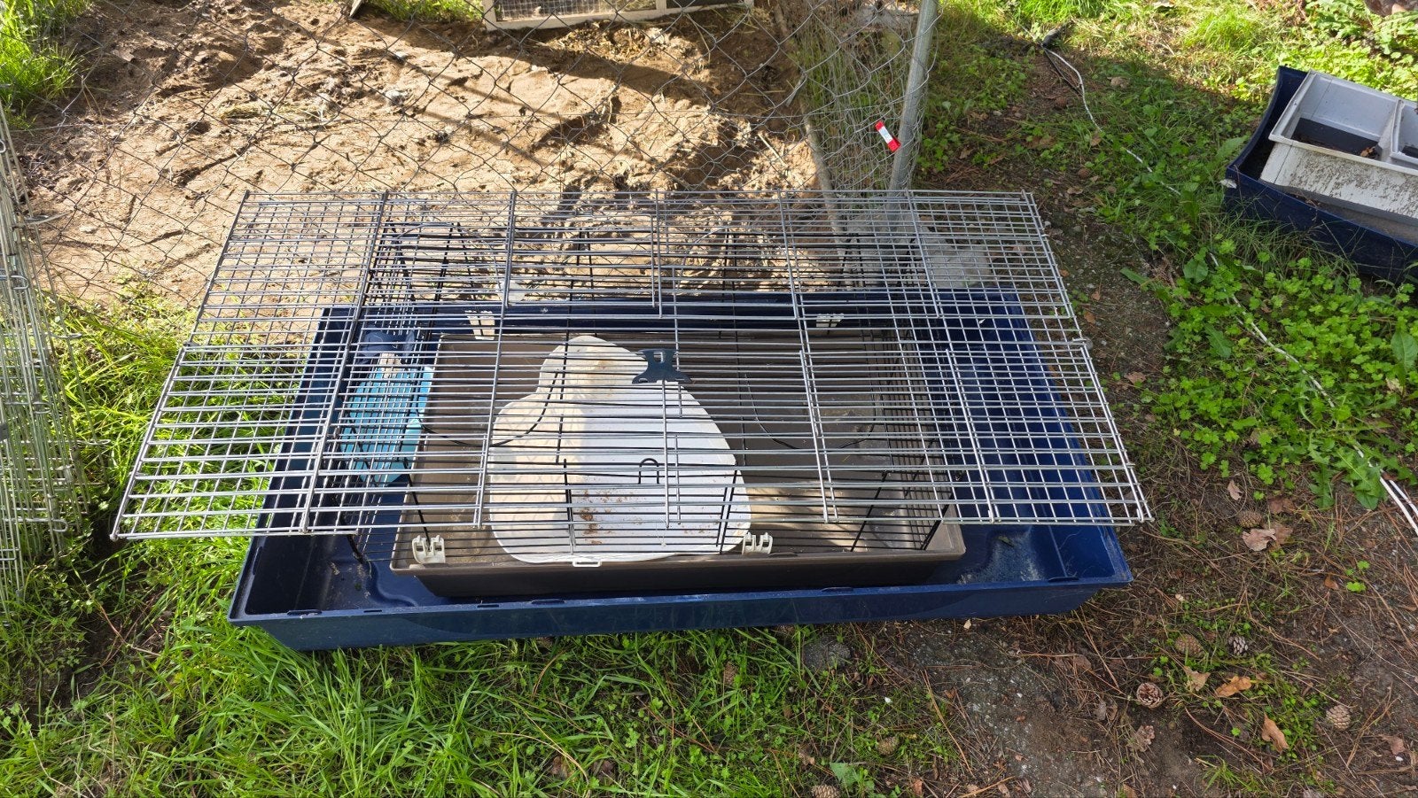 konijnbenodigheden, Dieren en Toebehoren, Ophalen, Zo goed als nieuw, Overige typen