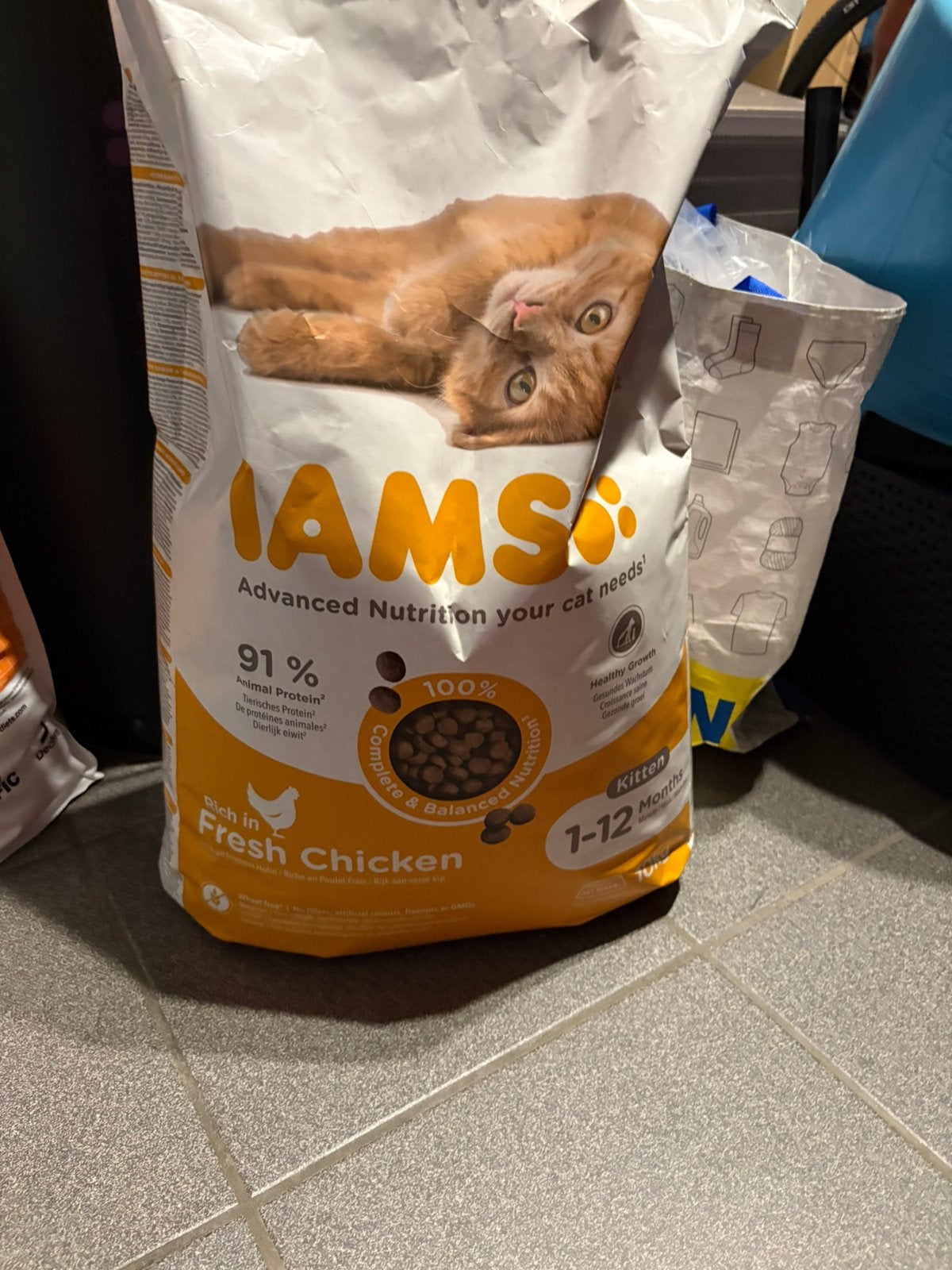 Croquettes neuves pour chatons, Dieren en Toebehoren, Dierenvoeding, Ophalen, Kat