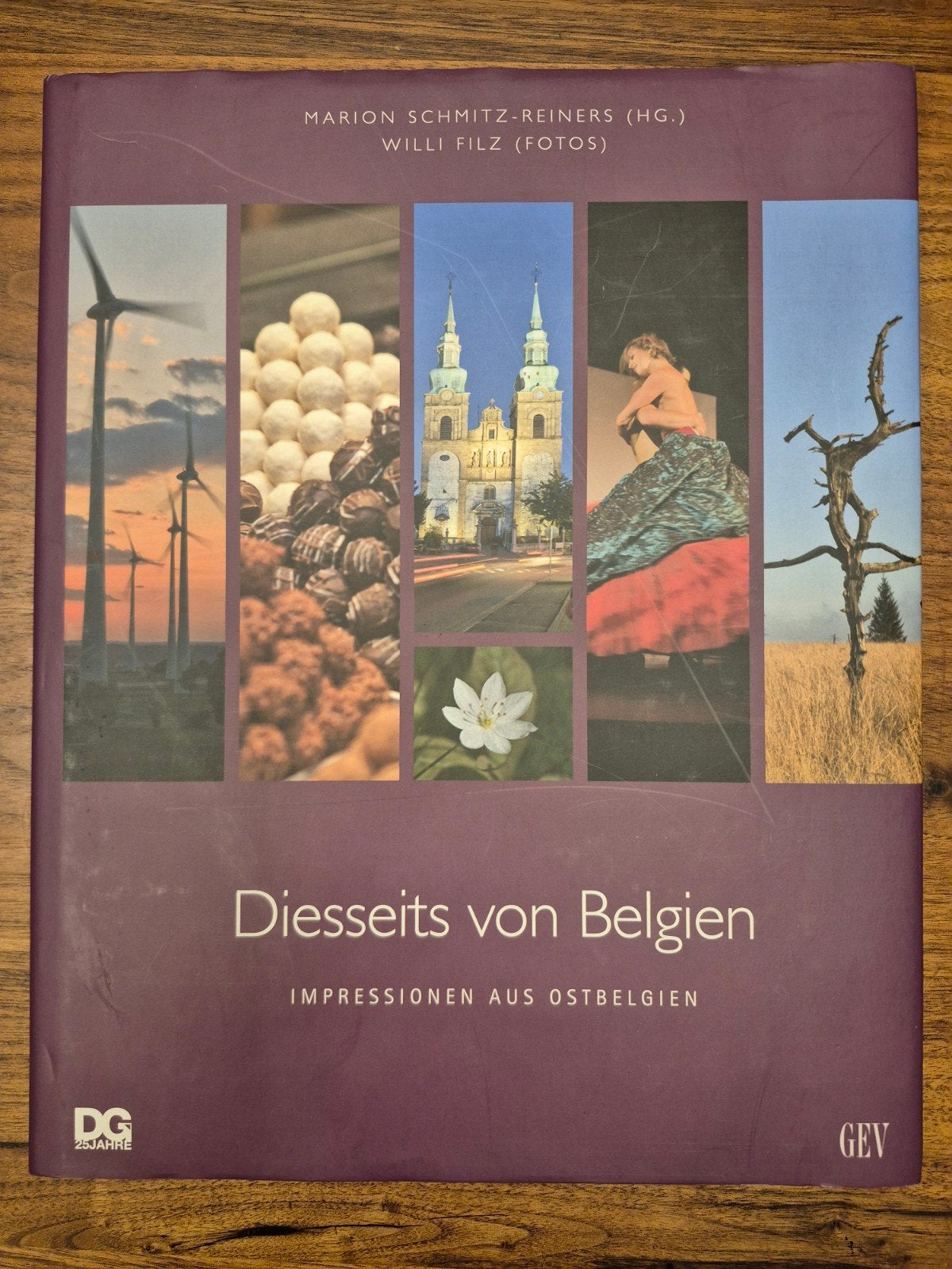 Diesseits von Belgien. Impressionen aus Ostbelgien, Ophalen of Verzenden, Zo goed als nieuw, Marion Schmitz-Reiners, Willi Filz