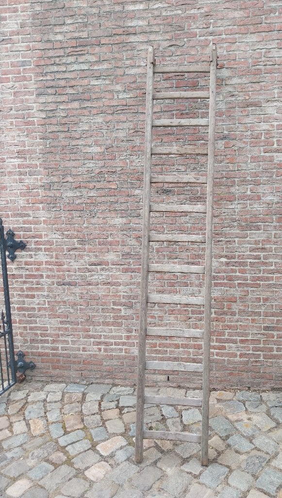 Plukladder, Doe-het-zelf en Bouw, Ladders en Trappen, Ophalen