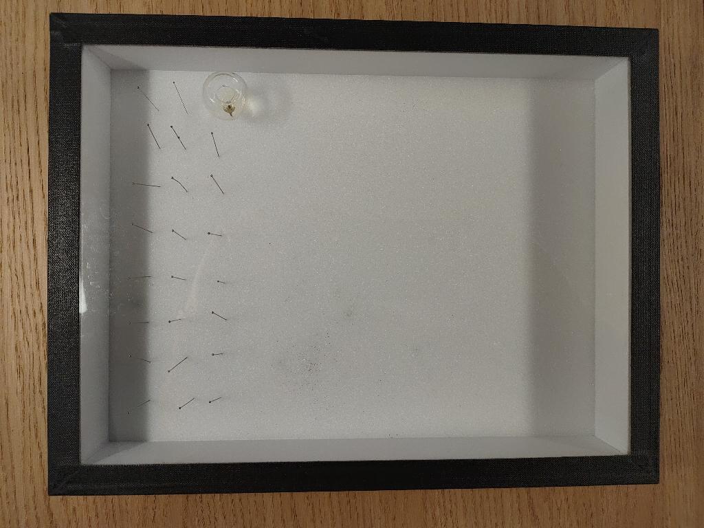 Boîte à insecte, Collections, Collections Animaux, Utilisé, Autres types, Insecte, Enlèvement ou Envoi