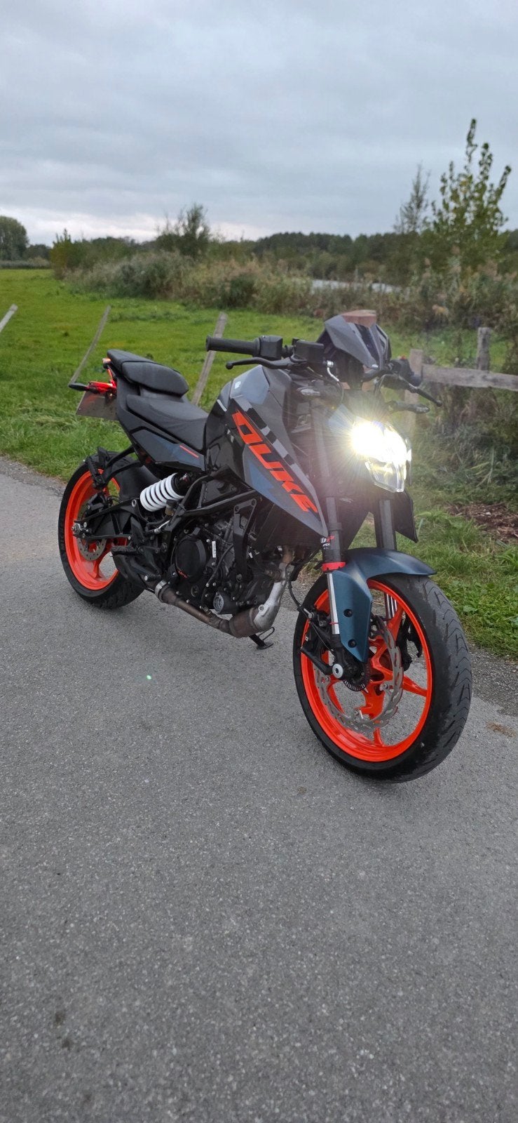 ktm duke 125 2025, Motos, Permis Moto A1 minimum, 1 cylindre, Manuelle, Naked bike