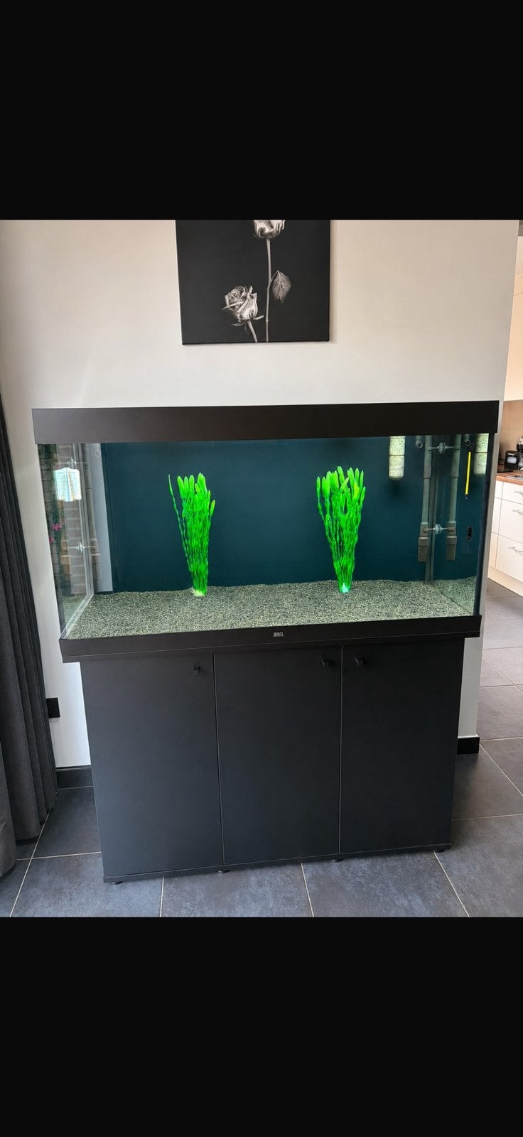 Juwel rio 350, Dieren en Toebehoren, Ophalen, Zo goed als nieuw, Juwel