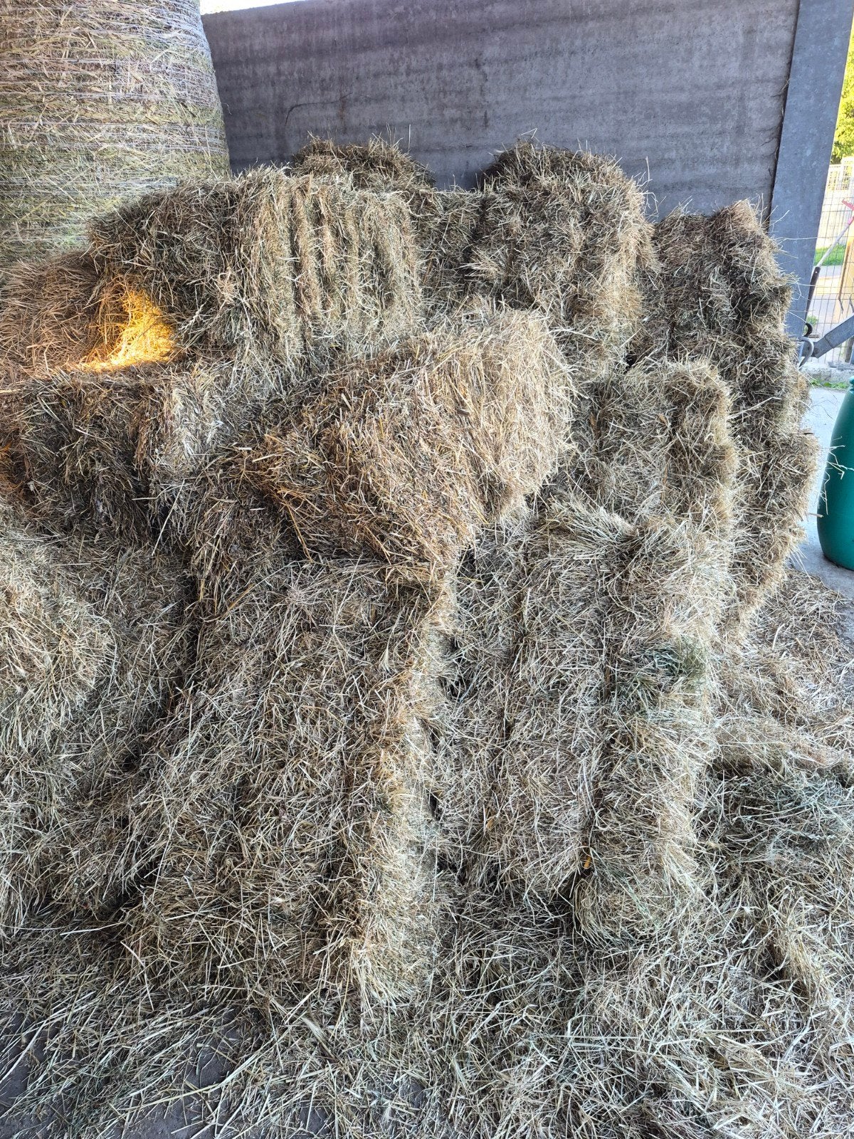 Hooi te koop schapen paarden, Enlèvement