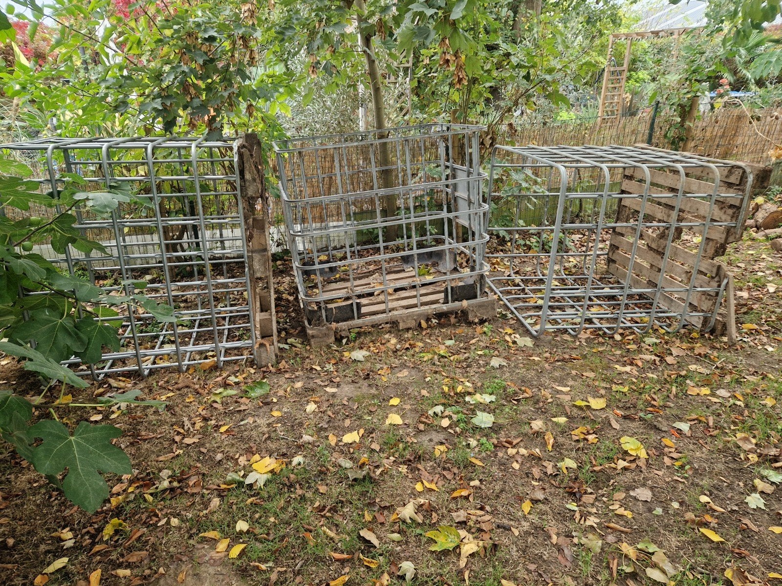 3x ibc kooien, Ophalen of Verzenden