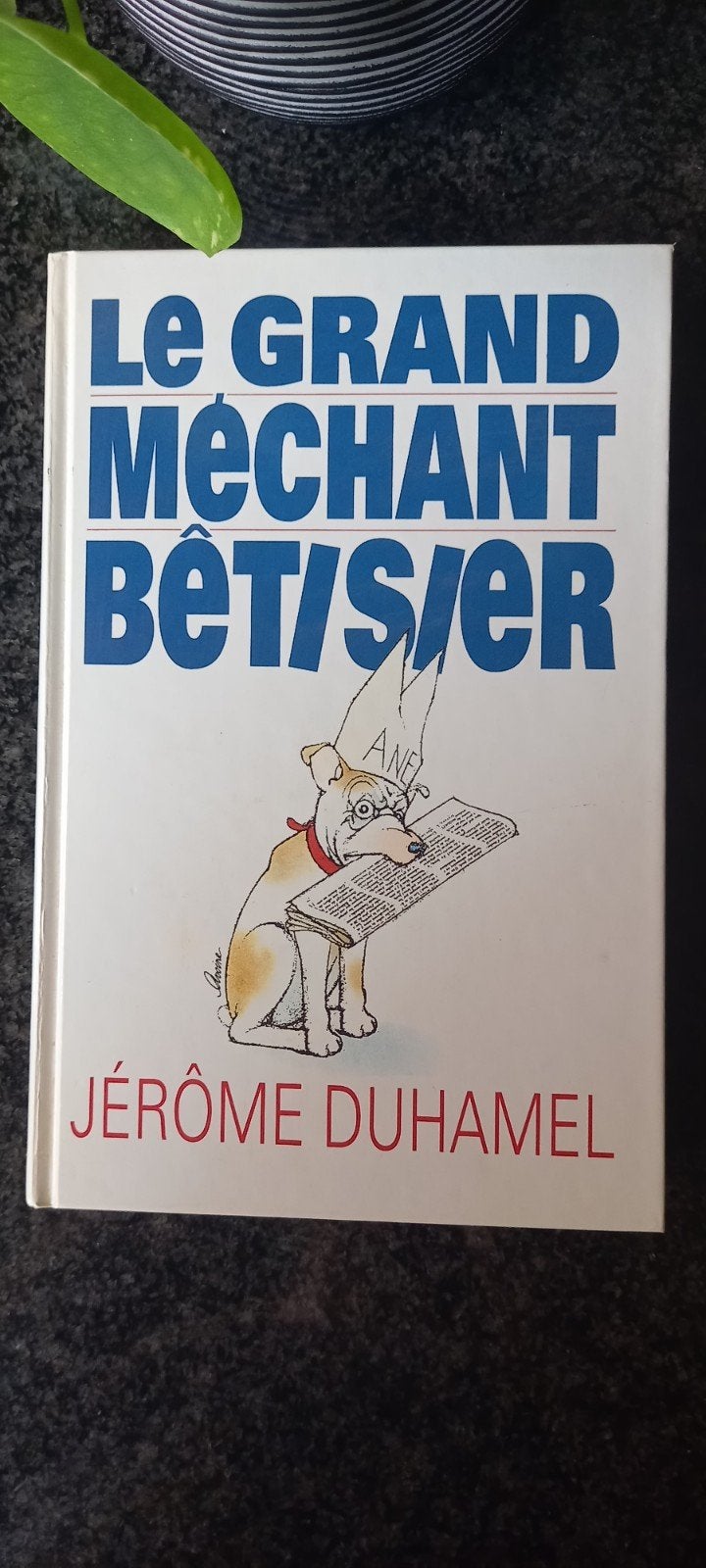 Le grand méchant bêtisier, Boeken, Humor, Ophalen of Verzenden, Zo goed als nieuw, Anekdotes en Observaties, Jérôme Duhamel