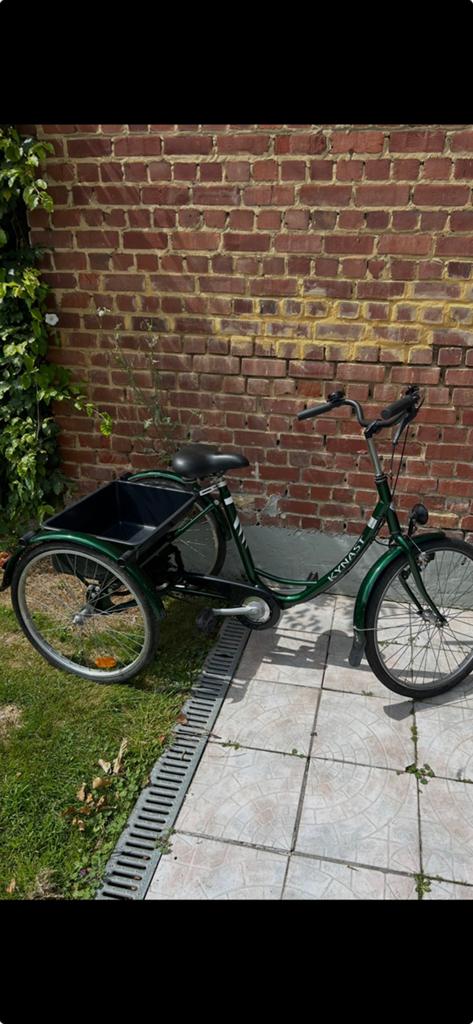 Driewieler fiets, Fietsen en Brommers, Fietsen | Driewielfietsen, Ophalen, Zo goed als nieuw