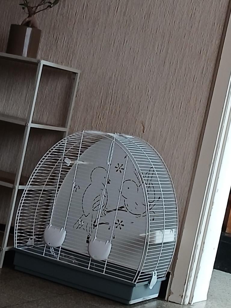 Cage, Envoi