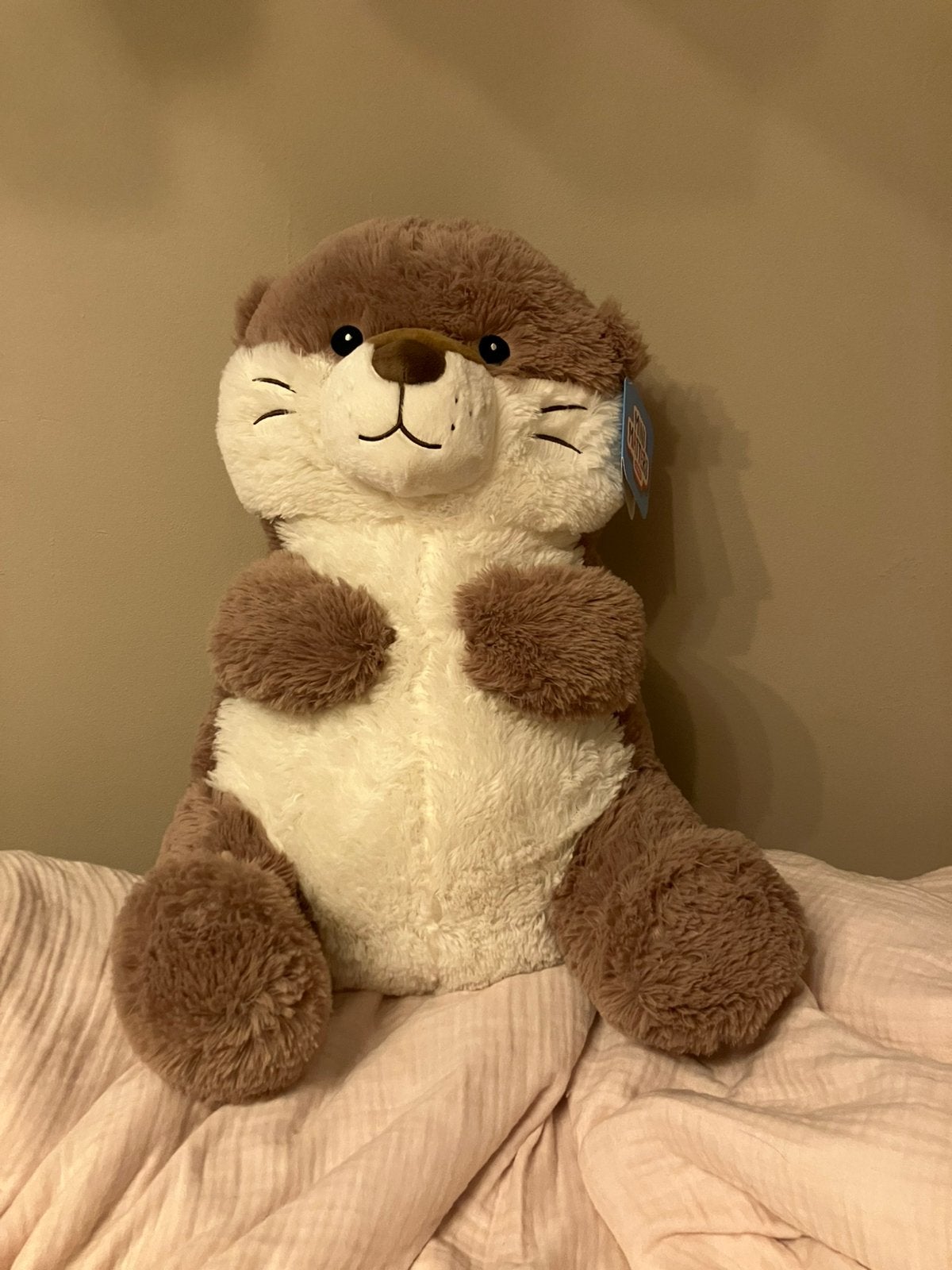 Grande loutre en peluche, Neuf, Autres types, Beige, Enlèvement
