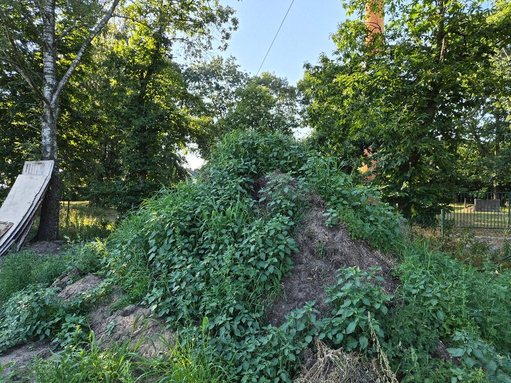 Zwarte grond (kan gratis geleverd worden), Enlèvement ou Envoi