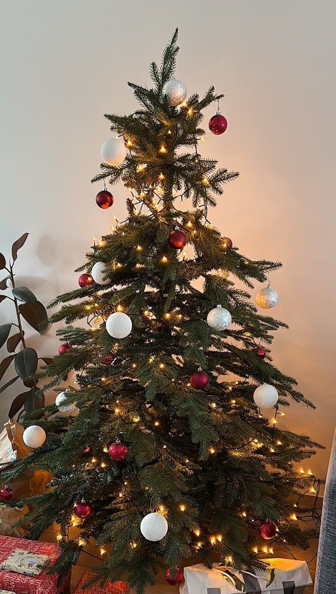 Kerstboom, Diversen, Kerst, Zo goed als nieuw, Ophalen