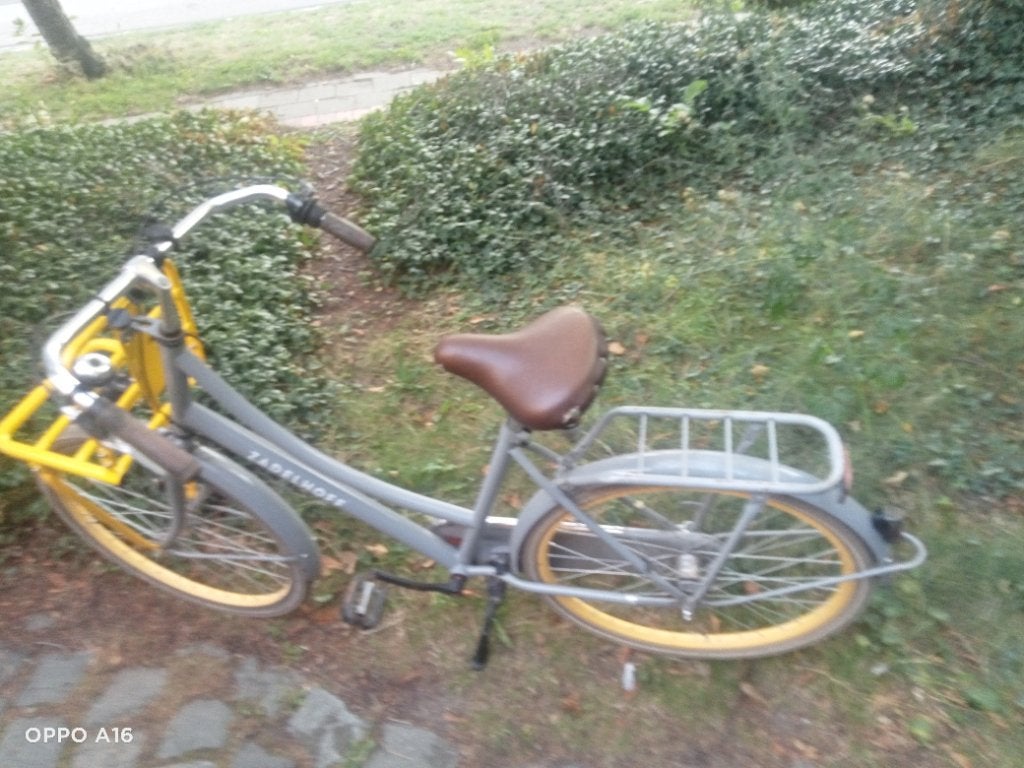 Meisjesfiets, Fietsen en Brommers, Ophalen, Terugtraprem, Zadelhoff, Handrem