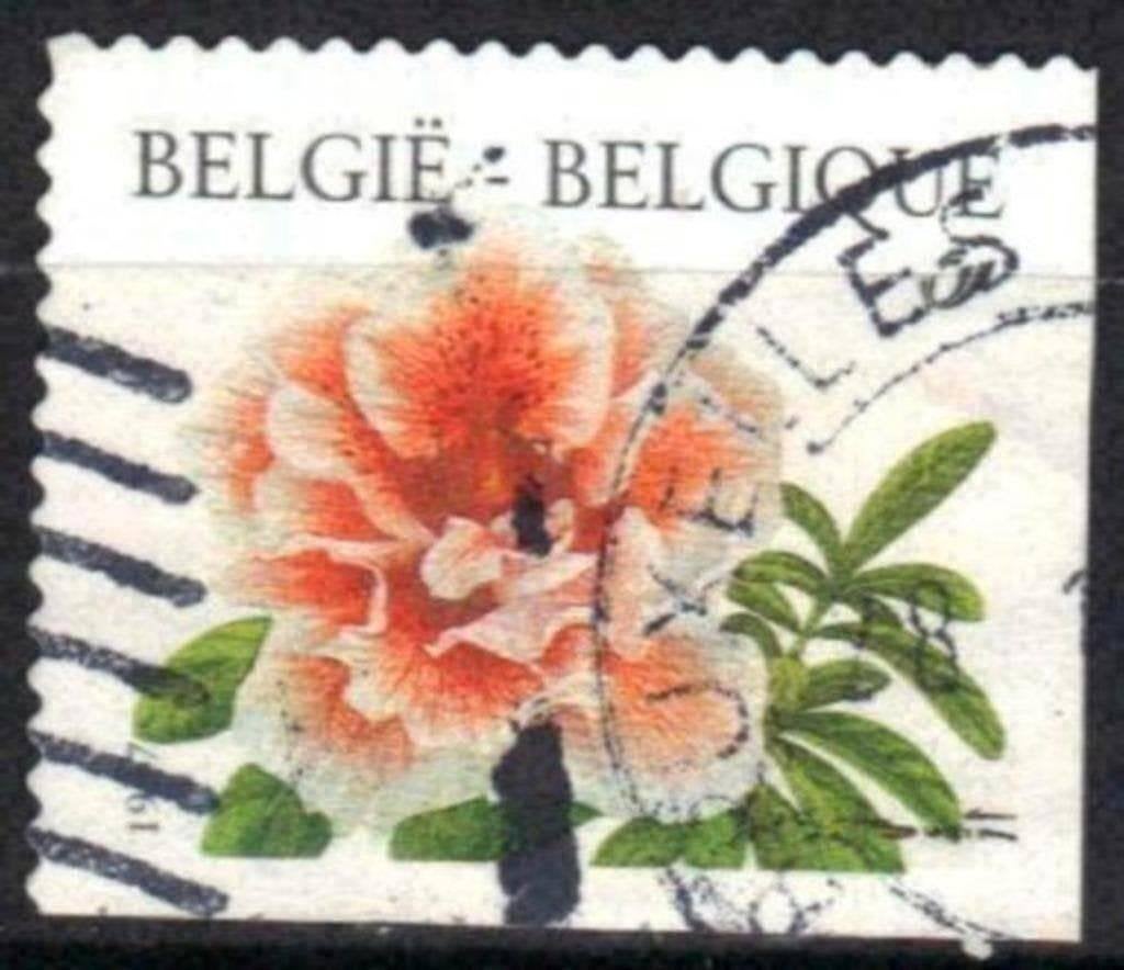 Belgique 1997 - Yvert 2733 /OBP 2733c - Fleurs (ST), Envoi, Affranchi, Oblitéré