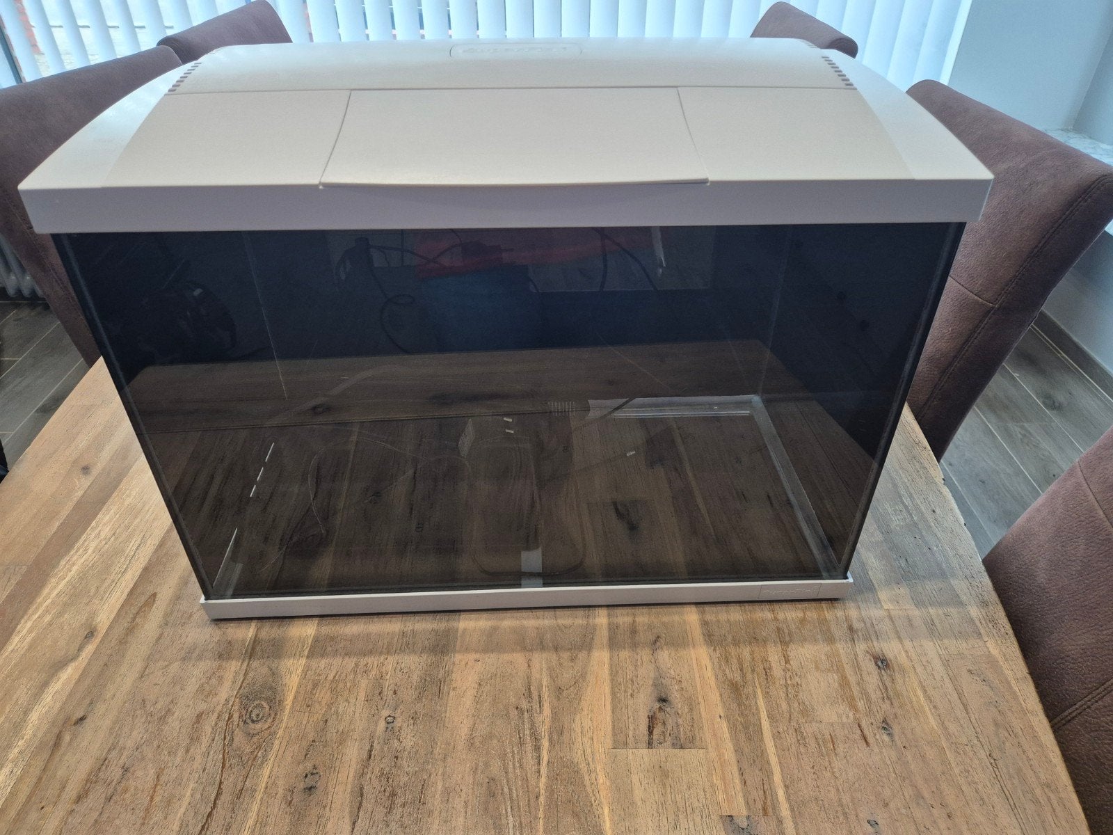 aquarium, Enlèvement