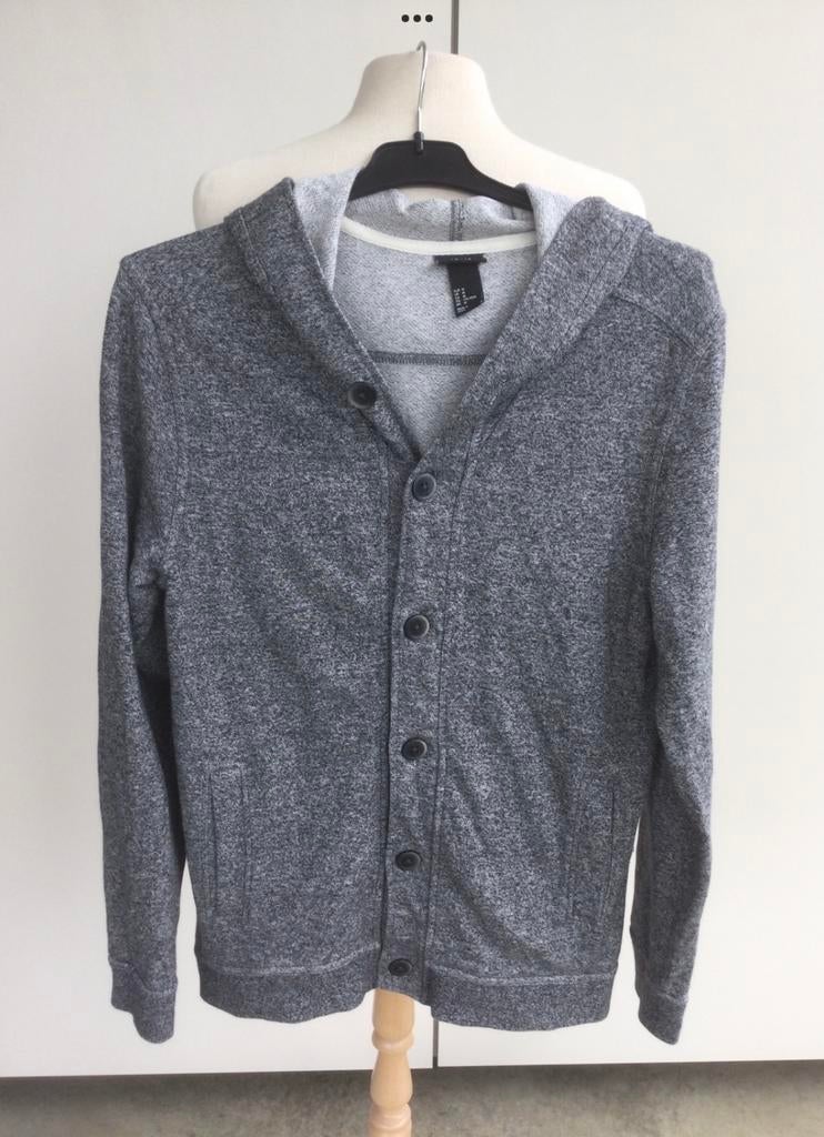 Heren hoodie met kap maat M, Ophalen of Verzenden, Gedragen, Maat 48/50 (M), Grijs