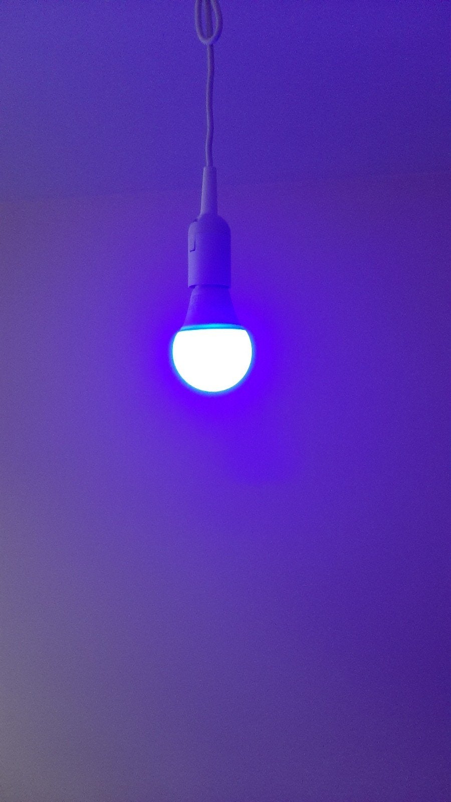 Ampoule Led RGB, Enlèvement ou Envoi, Couleur personnalisable, 10 à 30 watts, Multicolore