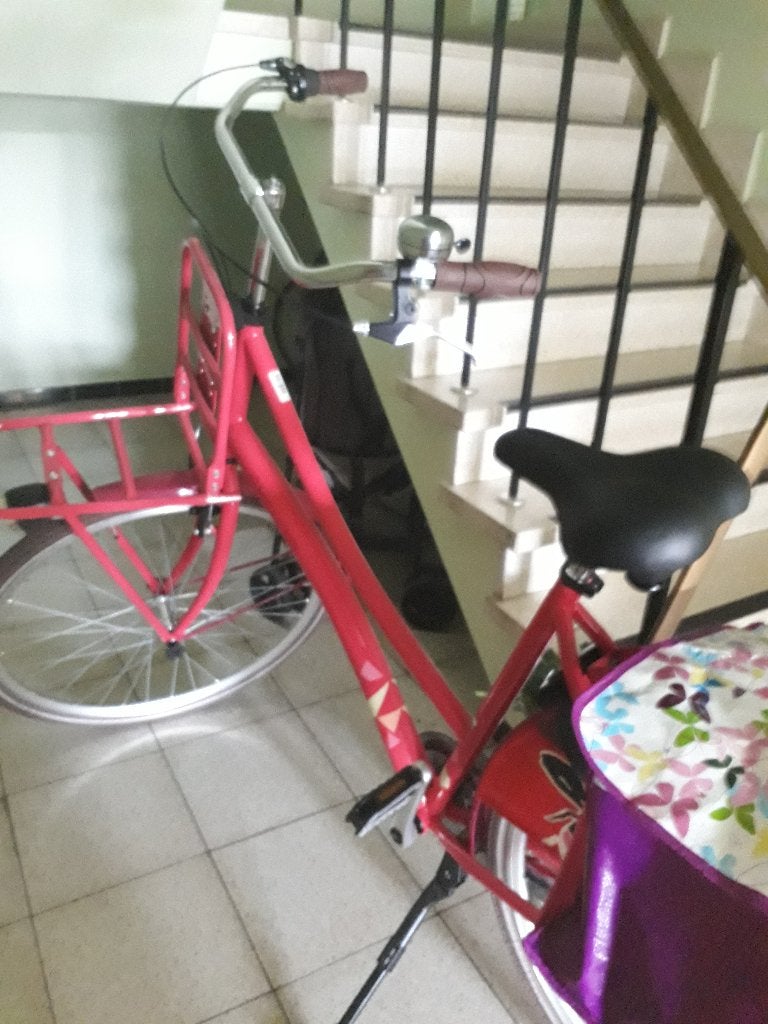 fiets, Ophalen, Terugtraprem, 53 tot 56 cm, Versnellingen