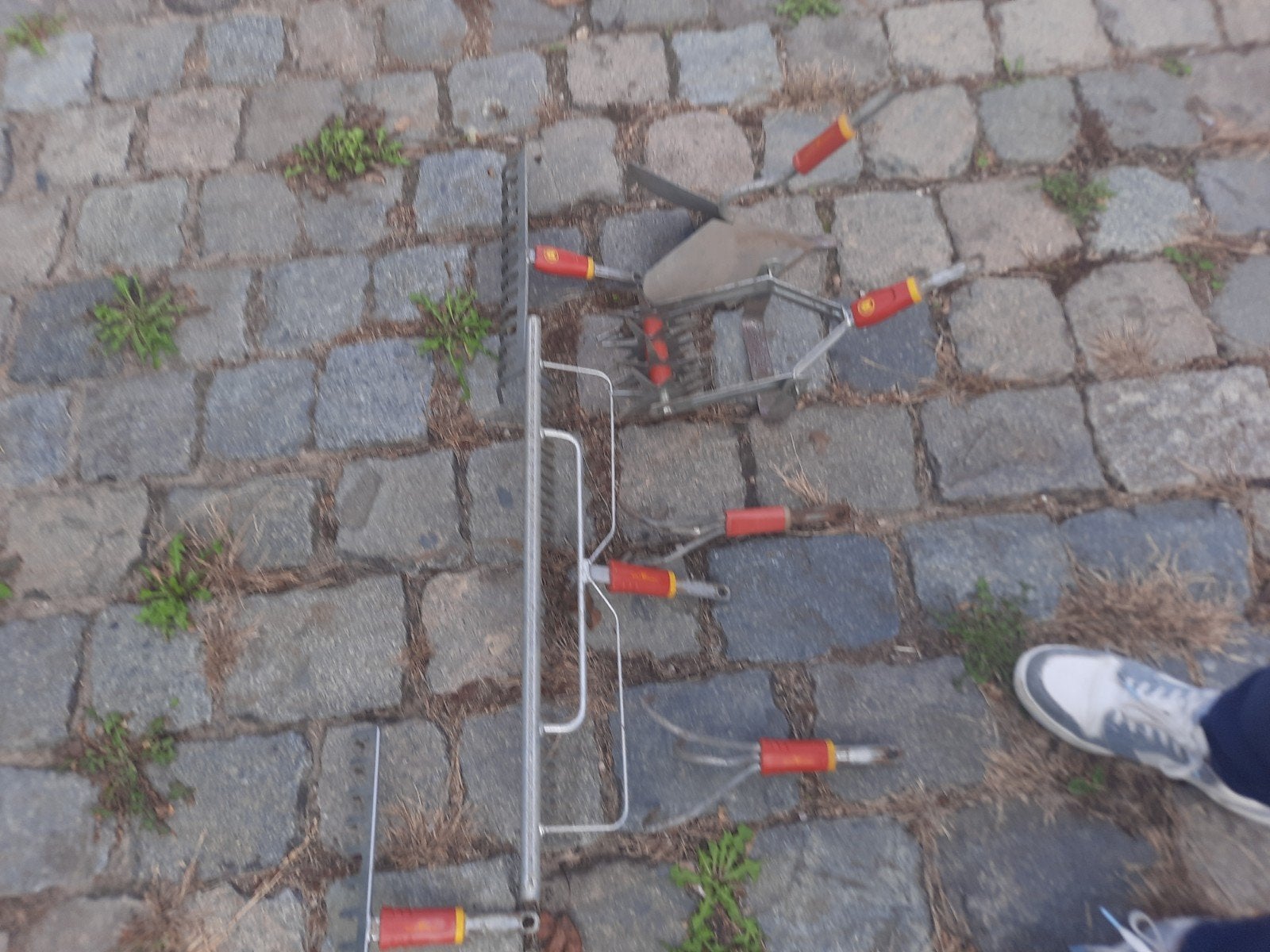 Wolf tooltjes., Bricolage & Construction, Enlèvement