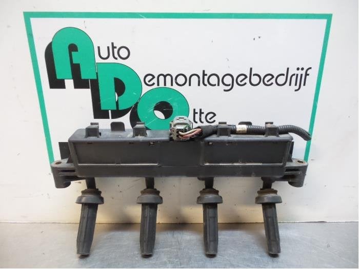 Allumage DIS d'un Peugeot 206 (206 98-), -, 3 mois de garantie, Utilisé, -