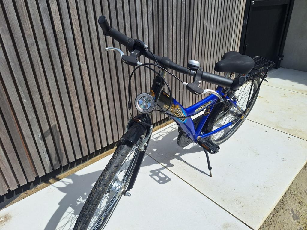 Golden Lion jongensfiets, Fietsen en Brommers, Fietsen | Kinderfietsjes, Ophalen