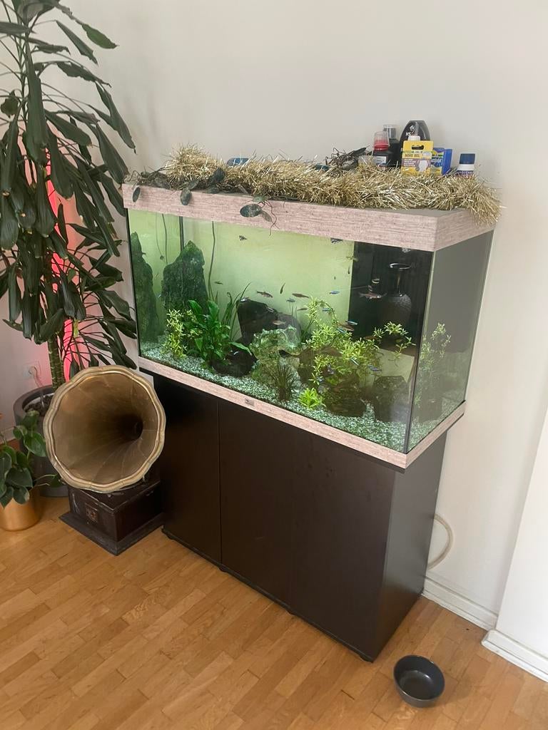 Aquarium met toebehoren (evt. vissen), Ophalen, Zo goed als nieuw