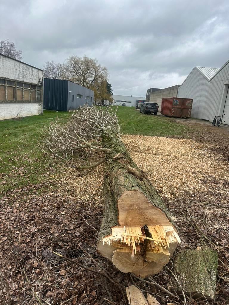 Propose mes services d’entrepreneur, Enlèvement