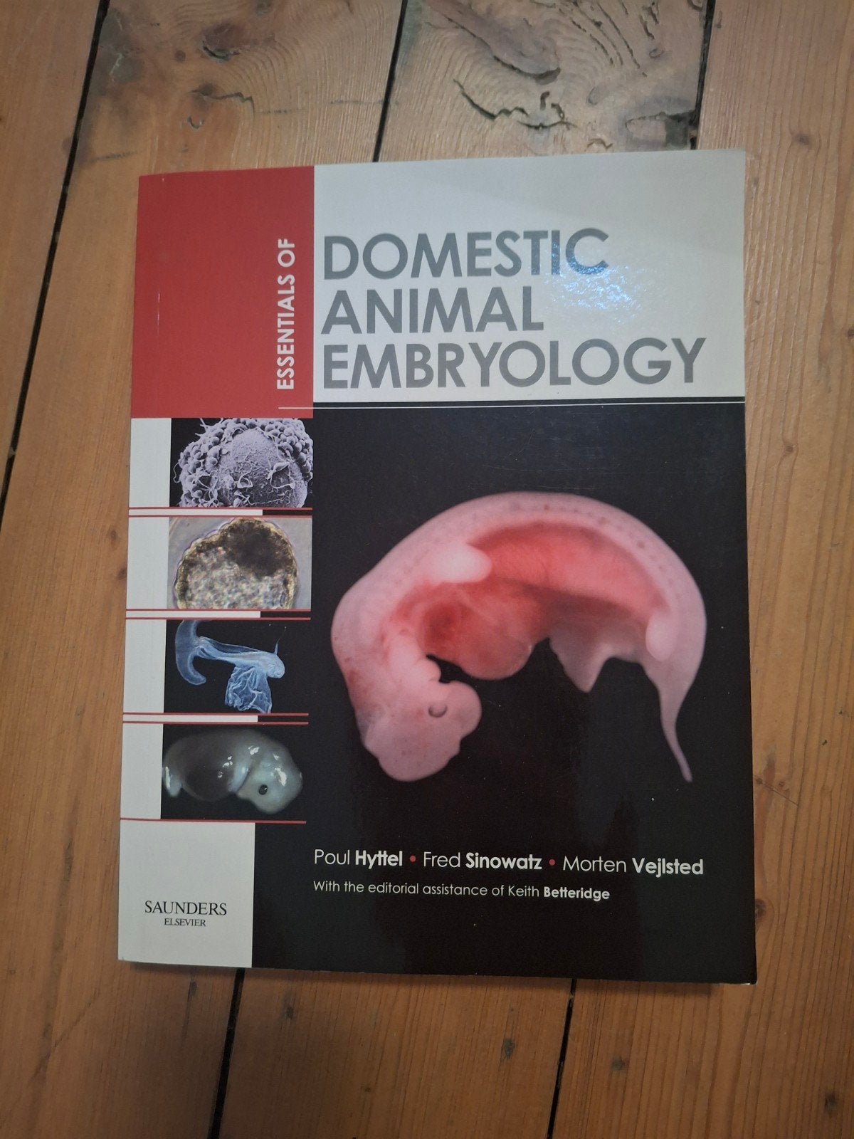 domestic animal embryology, Livres, Encyclopédies, Poul hyttel, Enlèvement ou Envoi, Médecine, Comme neuf