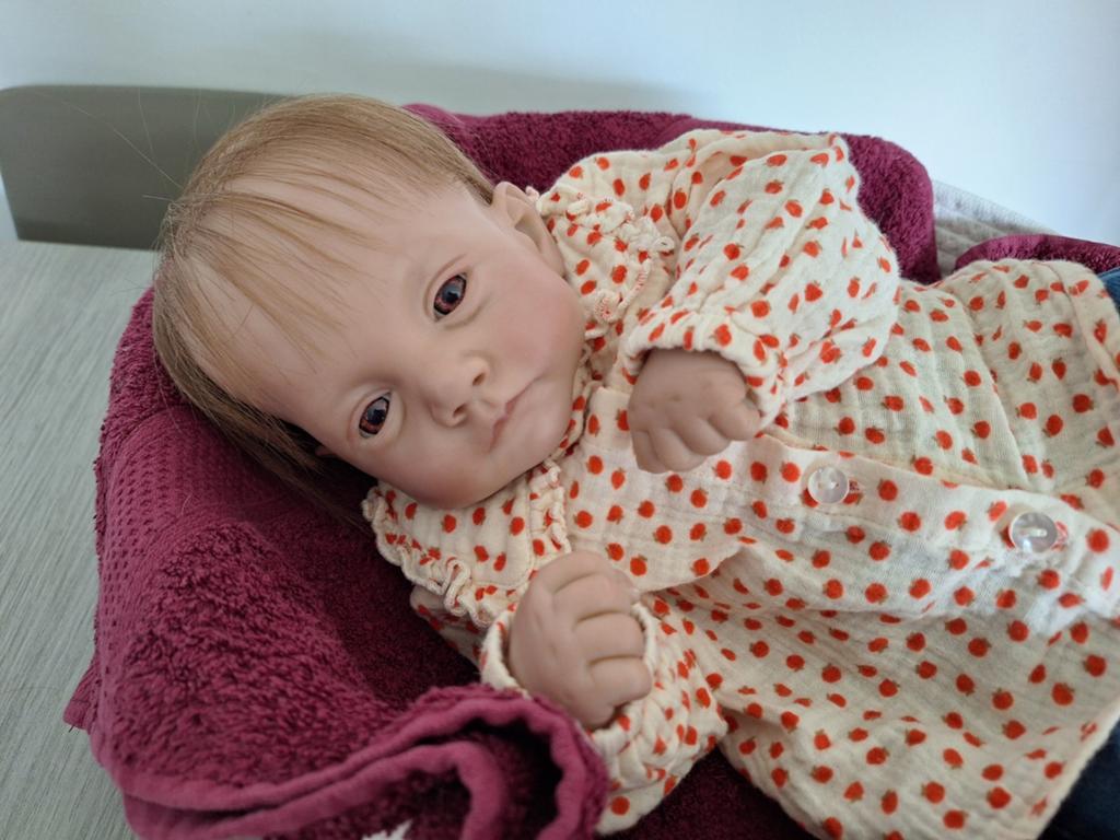Reborn, Verzamelen, Poppen, Ophalen