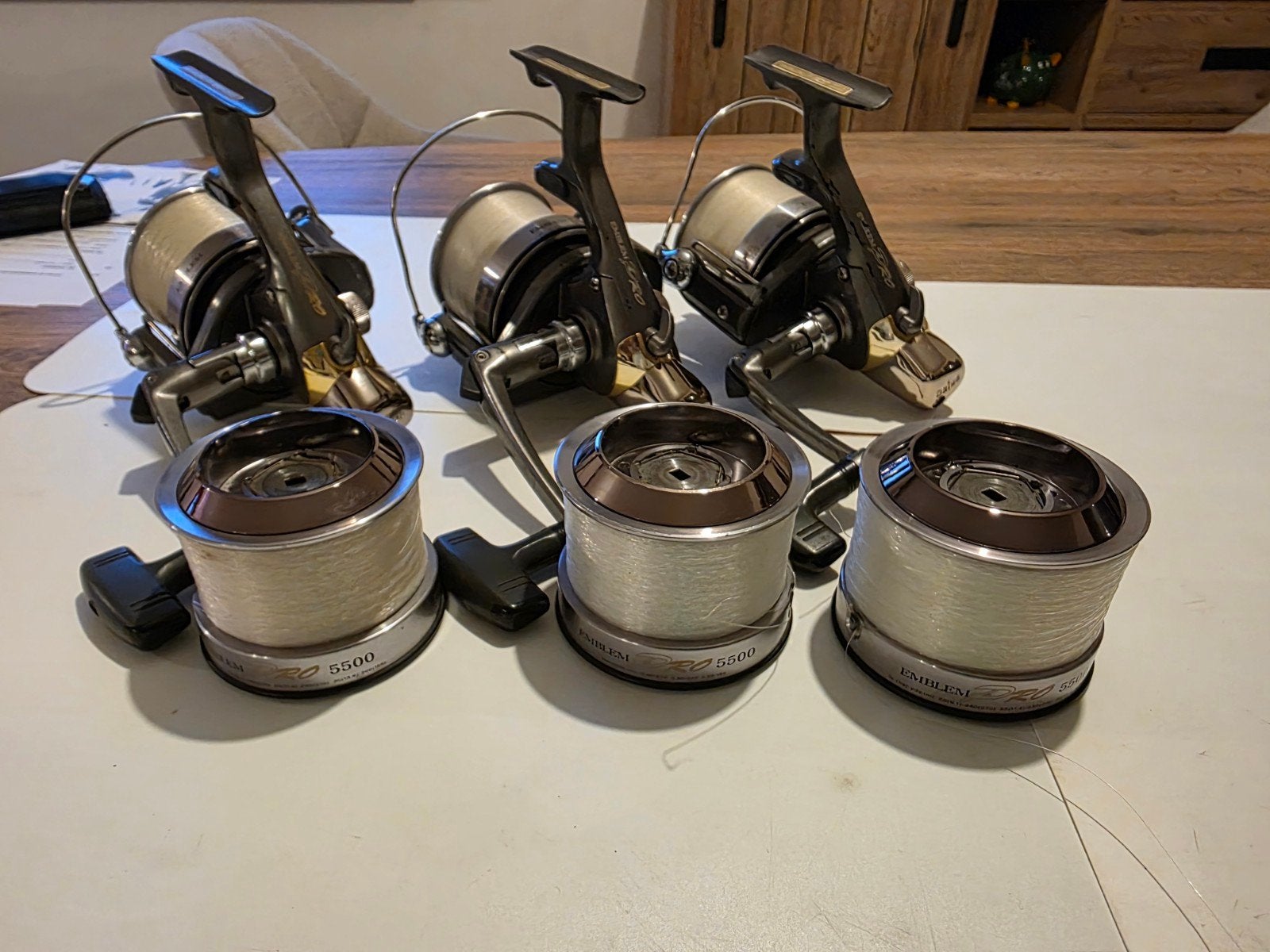 Emblème Daiwa Pro 5500, Enlèvement