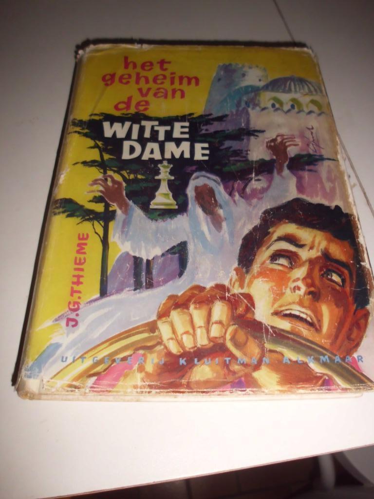 spannende jeugdboeken met schaakstuk als onderwerp, Ophalen of Verzenden, Gelezen