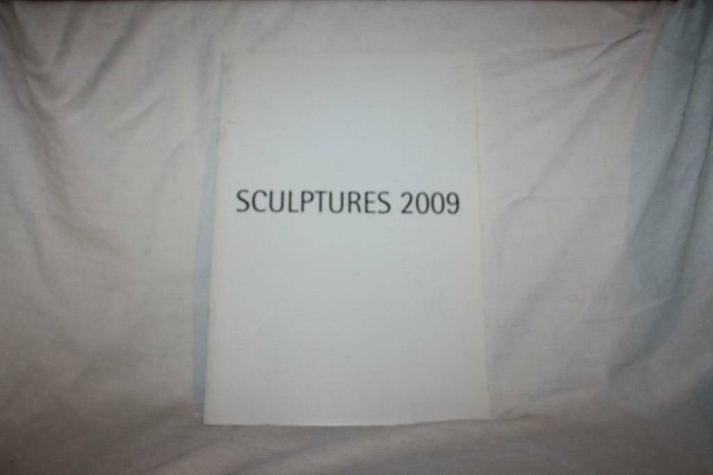 Sculptures 2009- Square Armand Steurs, Ophalen of Verzenden, Gelezen, Grafische vormgeving
