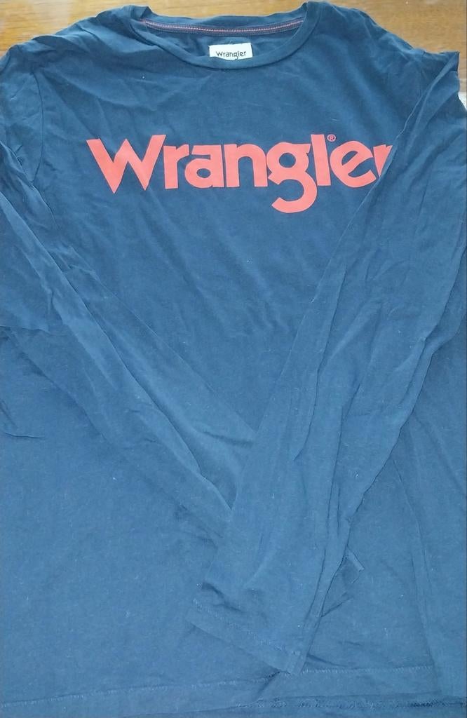 Polo homme taille M maison non fumeur, Enlèvement ou Envoi, Wrangler, Porté, Bleu