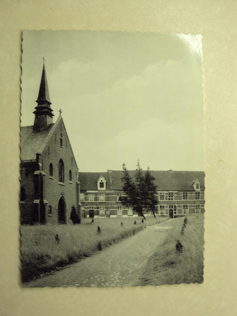 50128 - DENDERMONDE - DE SCHELDE, Verzamelen, Postkaarten | België, Ophalen of Verzenden