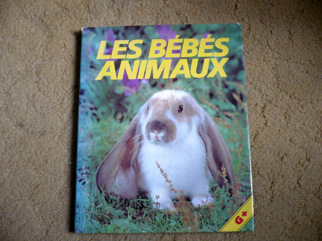 Les bébés animaux - Johnny Morris, Marie-Hélène Tessier, Enlèvement ou Envoi, Utilisé, Johnny Morris
