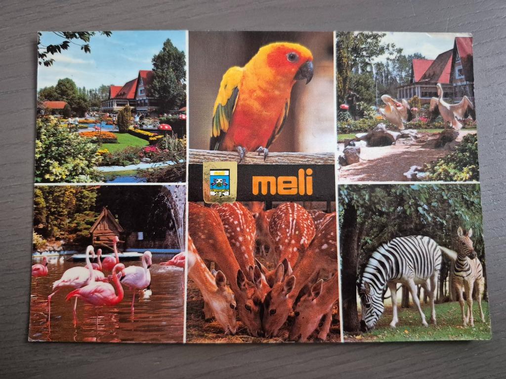 Meli Park postkaart "zebra", Ophalen of Verzenden, Zo goed als nieuw
