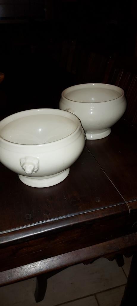 2 grote bowls met leeuwekop bavaria germany nr6, Ophalen of Verzenden, Zo goed als nieuw
