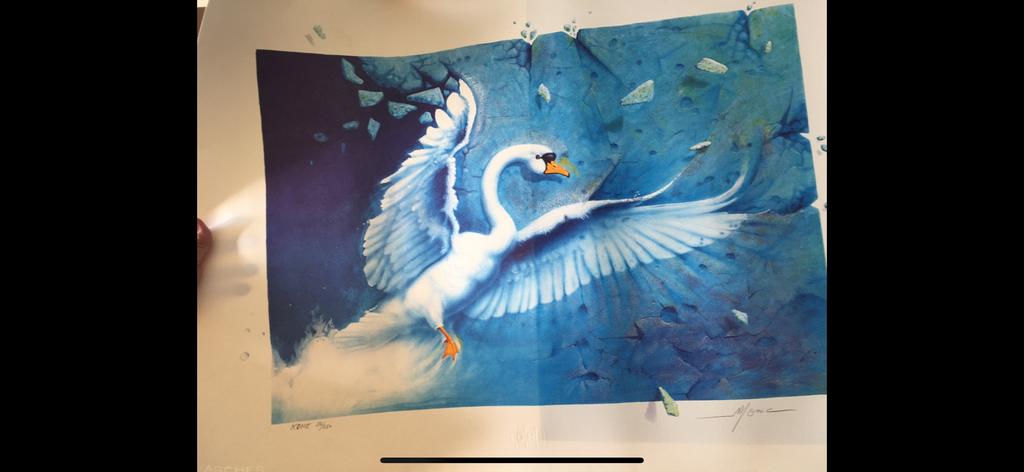 lithographie " l'envol " de Daniel MONIC, Enlèvement ou Envoi