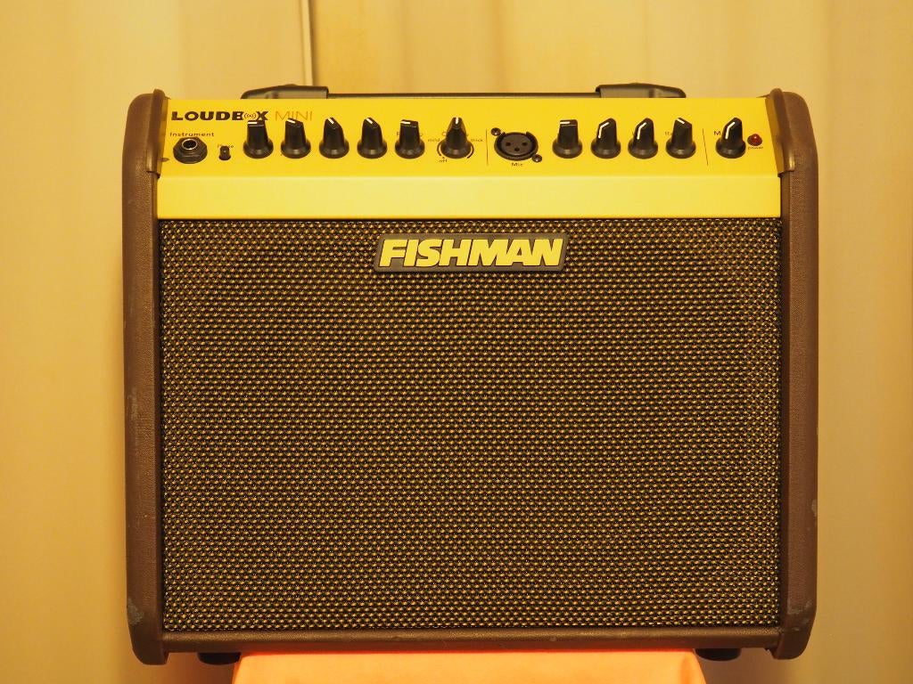 FISHMAN LOUDBOX MINI, Ophalen of Verzenden, Gebruikt, Gitaar, 50 tot 100 watt