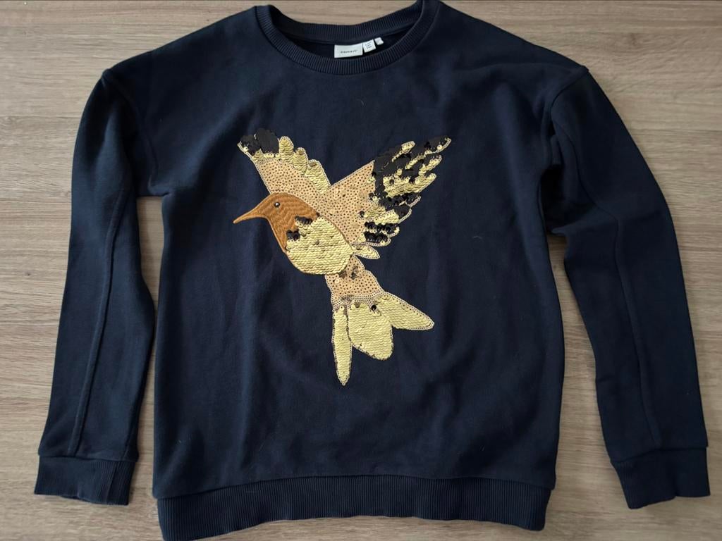 Sweater met vogel, Name it, maat 134-140, Enfants & Bébés, Vêtements enfant | Taille 140, Neuf, Enlèvement ou Envoi, Pull ou Veste