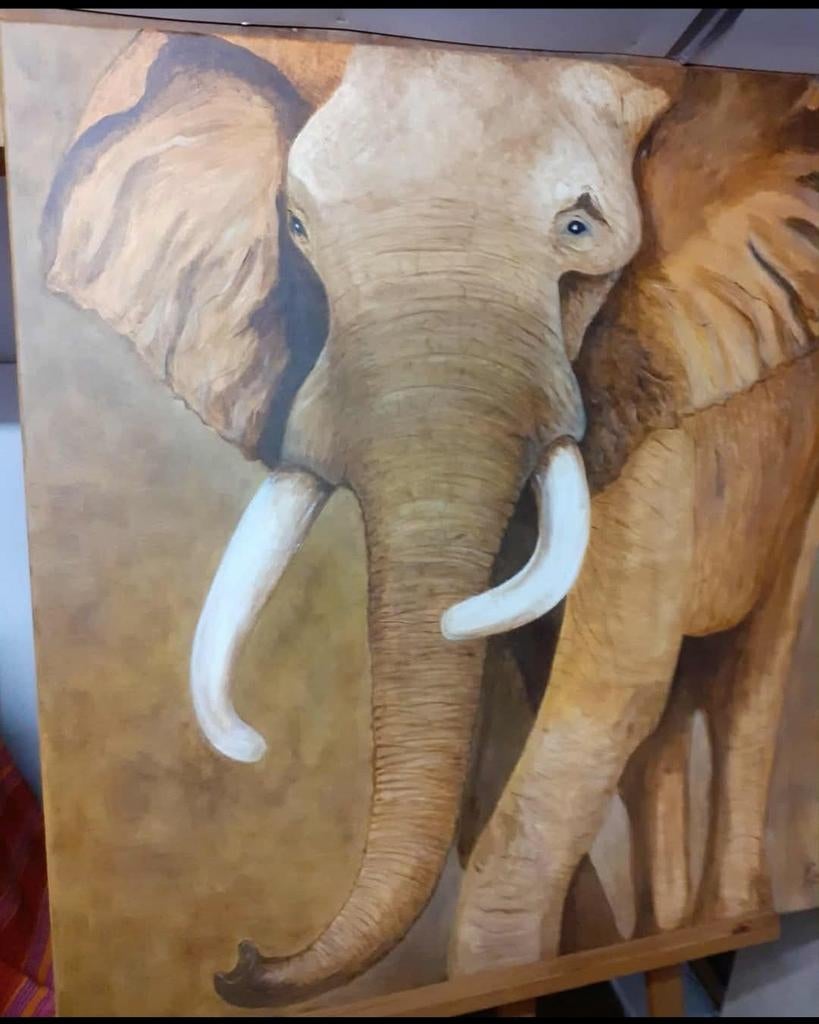 Schilderij bruine olifant 1M x 1M groot, Ophalen