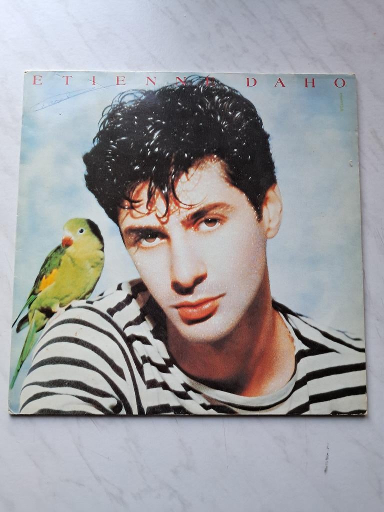 Etienne Daho ‎: La Notte, La Notte... (LP) synthpop, Enlèvement ou Envoi