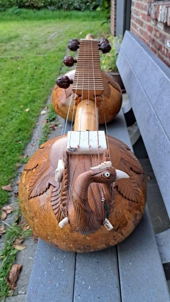 Rudra Veena Professionnel, Musique & Instruments, Instruments à corde | Autre, Enlèvement, Neuf, Autres types