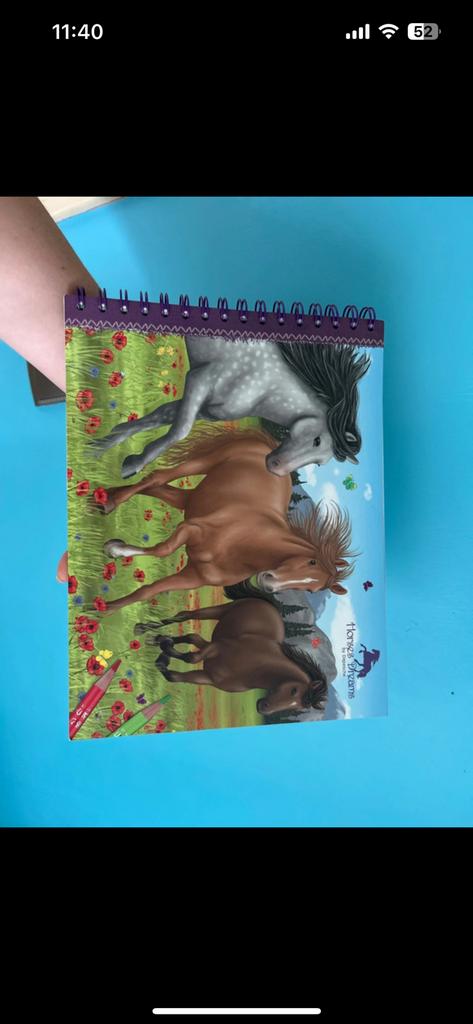 Paarden kleurboek met stickers, Ophalen of Verzenden, Zo goed als nieuw, Knutselen