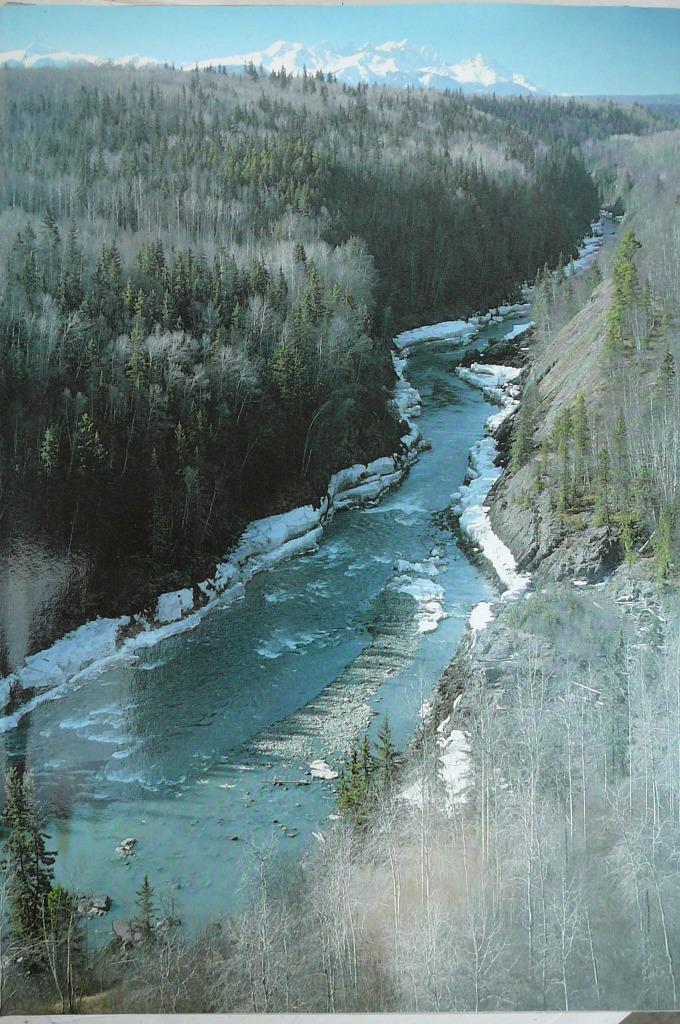 Canada Artis - Historia, Ophalen of Verzenden, Gelezen