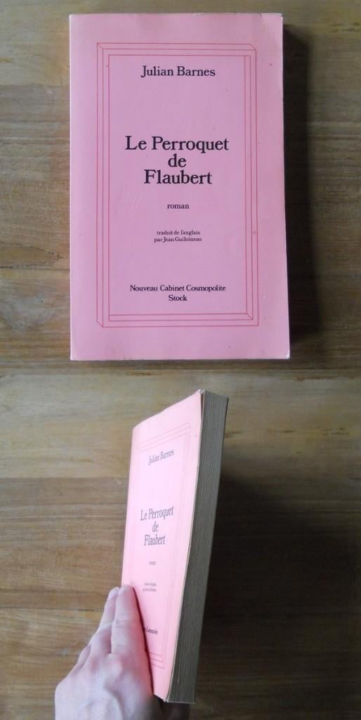 Le Perroquet de Flaubert (Julian Barnes), Enlèvement, Utilisé