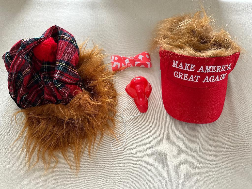 maskers voor feestjes of carnaval ..., Antiek en Kunst, Ophalen