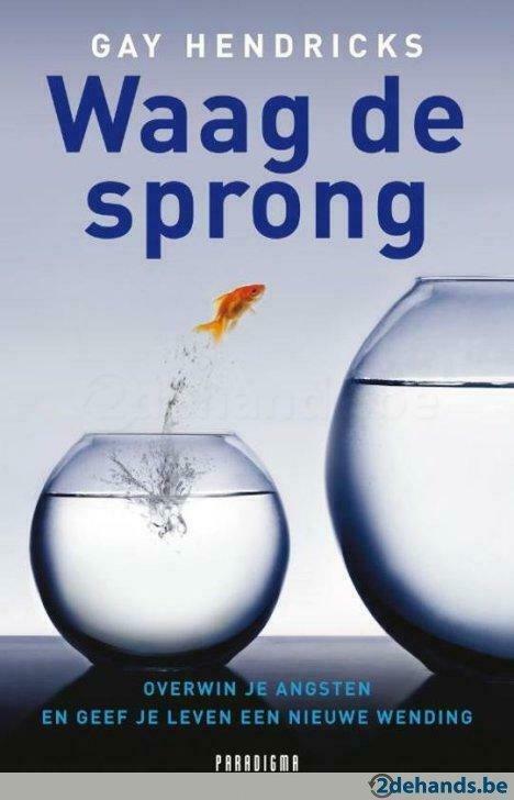 Waag de sprong - Gay Hendricks, Ophalen, Gelezen